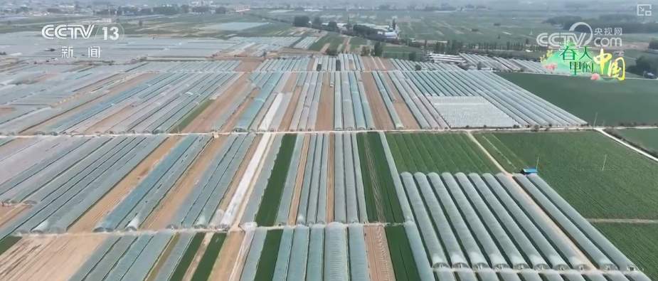 科技赋能农业生产 “良种+托管”夯实粮食丰收基础