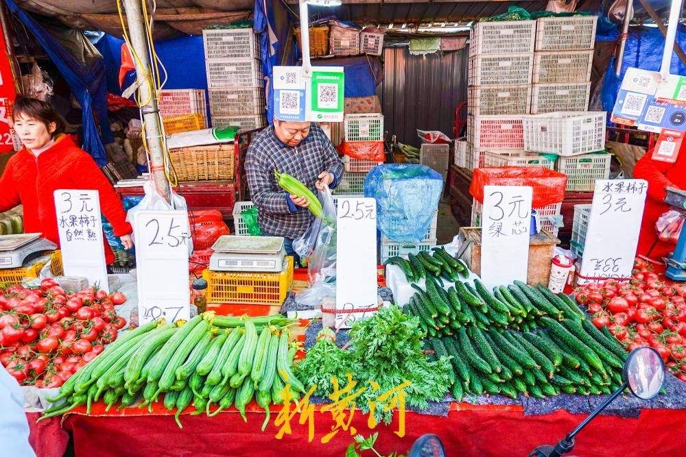 节后首日济南蔬菜供应充足，价格明显回落