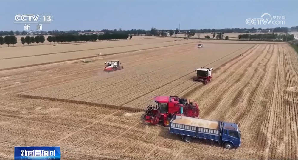 由“看天吃饭”转向“旱涝保收” 小麦丰收新麦上市 价格有望稳中有升