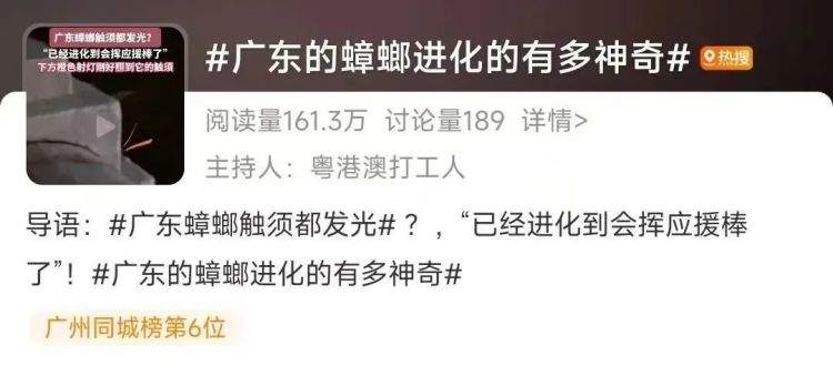 汗流浃背！广东蟑螂已经会发光了 进化成萤火虫3.0版？