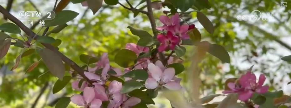 跨界融合“新风景”出圈 “五一旅游景点”搜索量暴涨