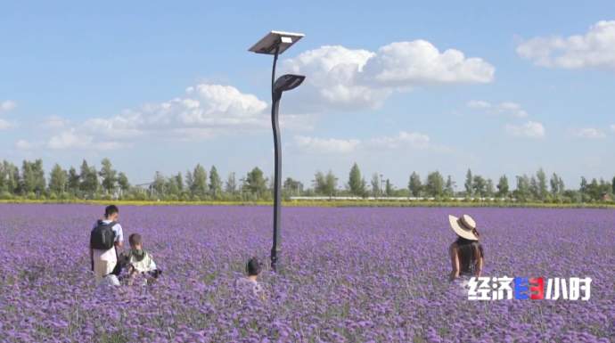 沙漠变绿地、变耕地 我国率先实现土地退化“零增长”