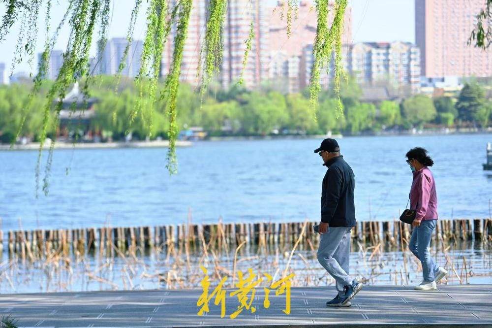 济南大明湖迎客流高峰 游人行走湖畔宛若画中游