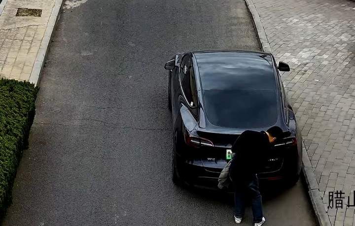 违停还给车牌戴口罩？济南一驾驶人被罚