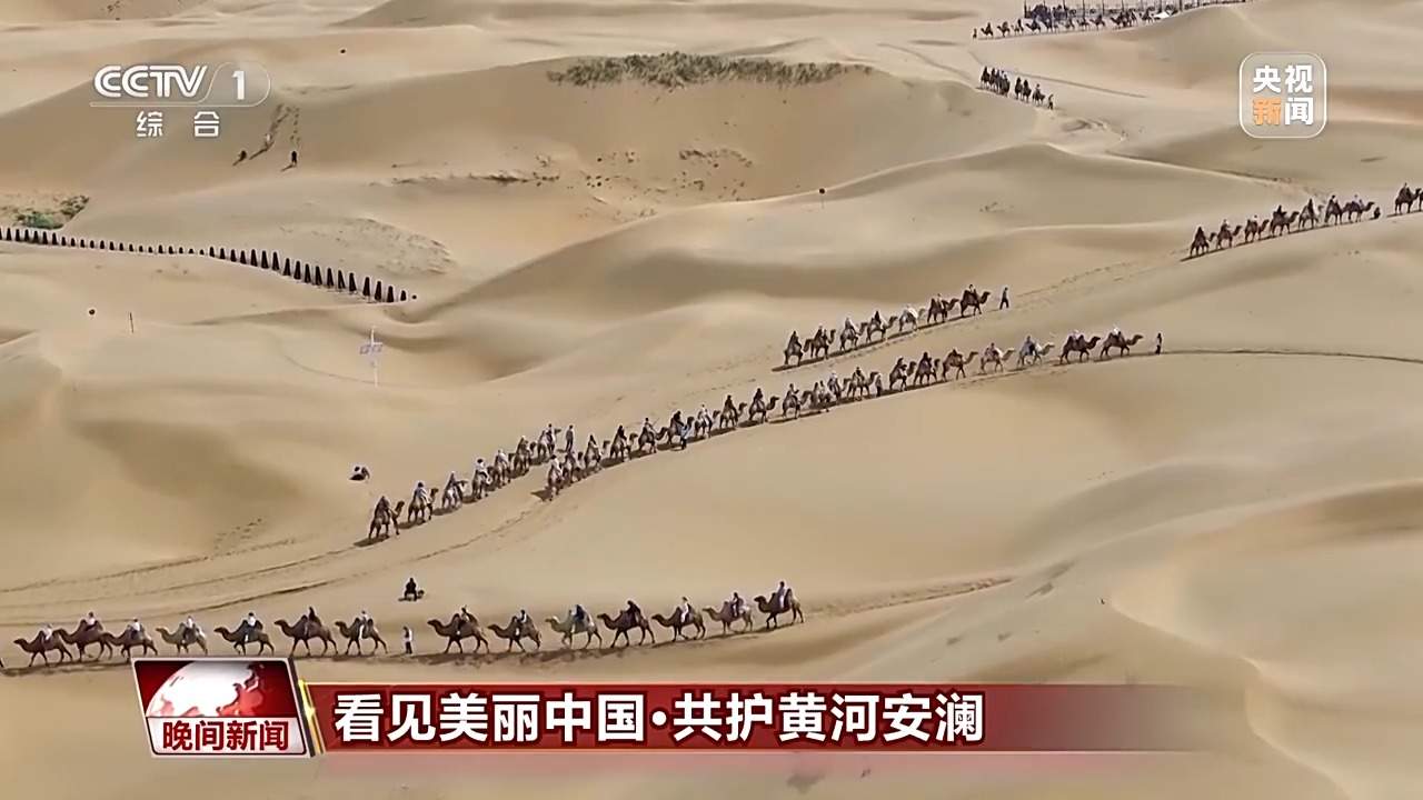 看见美丽中国丨把断流之痛化作生态之美 母亲河生态蜕变向“绿”而行