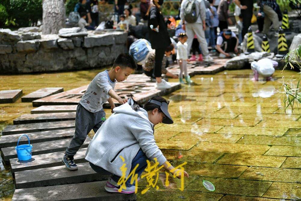 气温飙升春日如夏，市民纷纷到五龙潭泉畔戏水纳凉