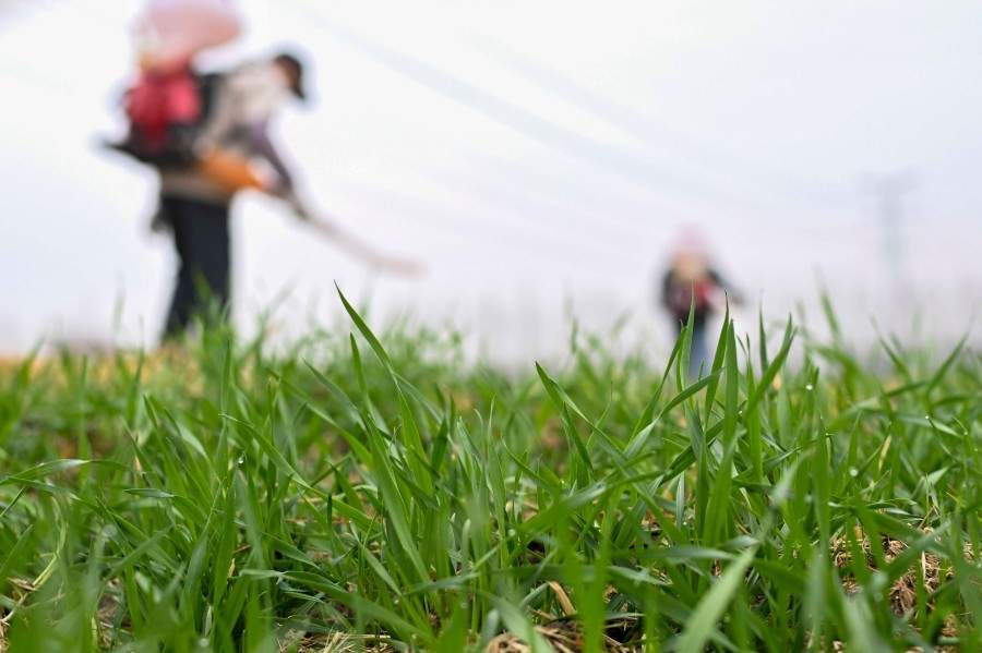 学习进行时丨从总书记的两会故事领悟正确政绩观