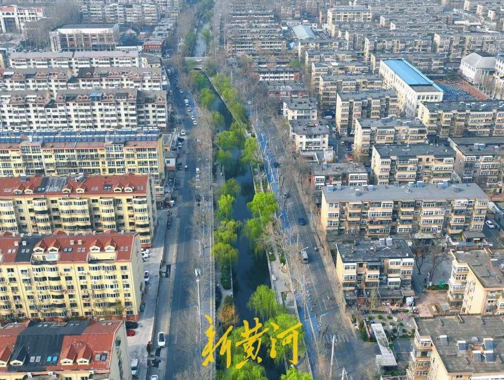 垂柳依依 济南工商河畔春色如画