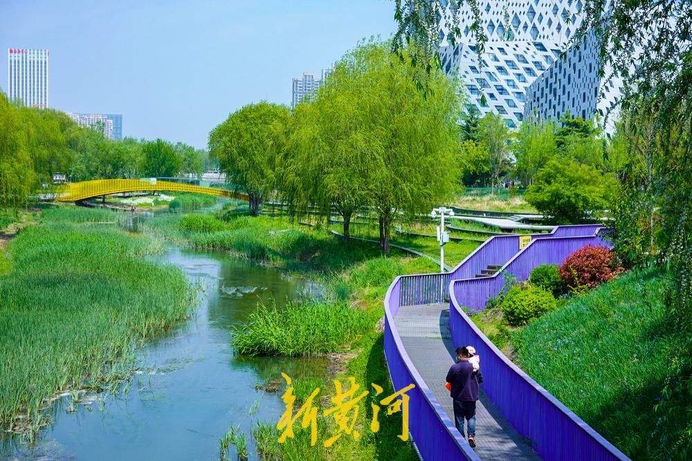 水清岸绿鸟归来,看济南腊山河畔的华丽蝶变