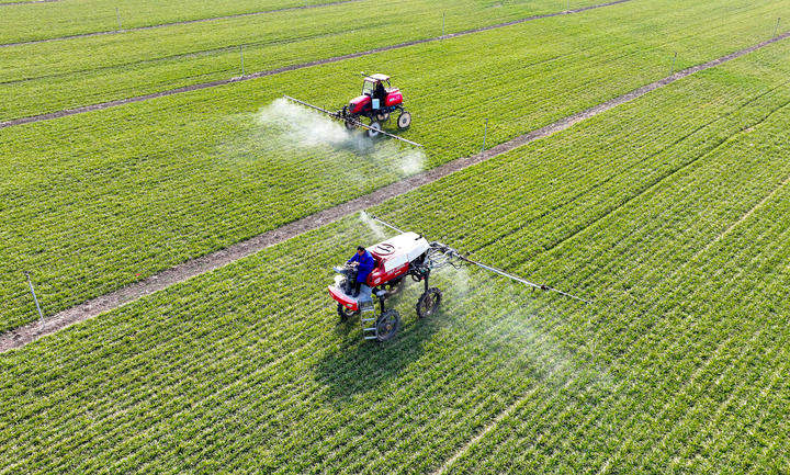 2025之春，聆听中国经济的奋进足音