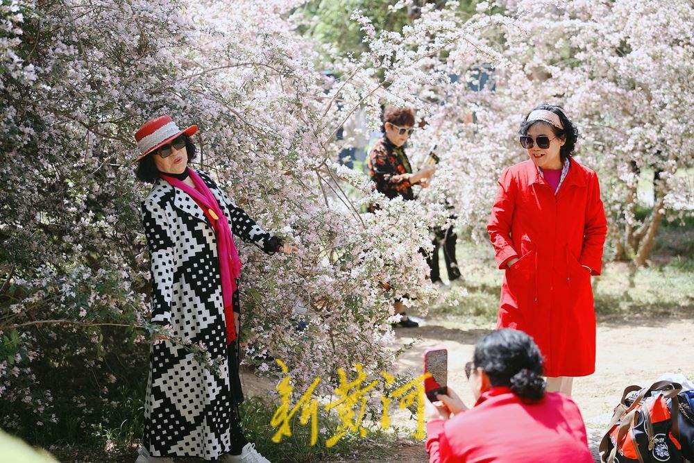 一年四季 泉在济南｜泉城猬实花开引客来