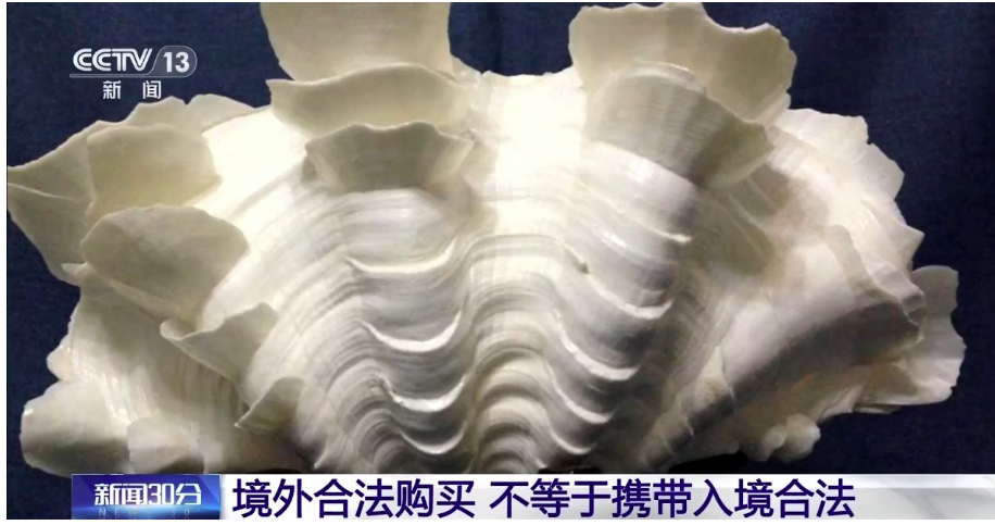 夫妻携242枚商周至民国时期钱币出国，被海关查扣