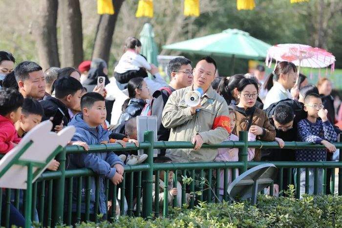 新春佳节，济南动物园大熊猫吃上了超大号“糖葫芦”