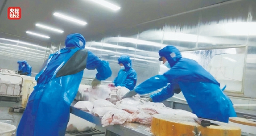 防火产品“不防火”、灭火产品“不灭火”、天价酒广告涉嫌违法……央视3·15晚会曝光多种乱象