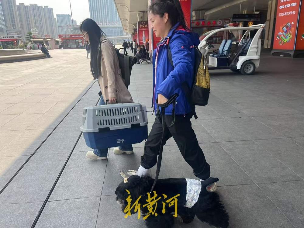 萌宠坐高铁到济南西站了！全国首趟提供高铁宠物托运服务的列车抵达