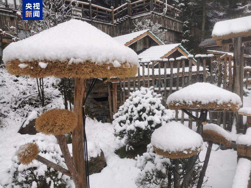 秒变童话世界！霜降节气中国雪乡迎来今秋首场降雪