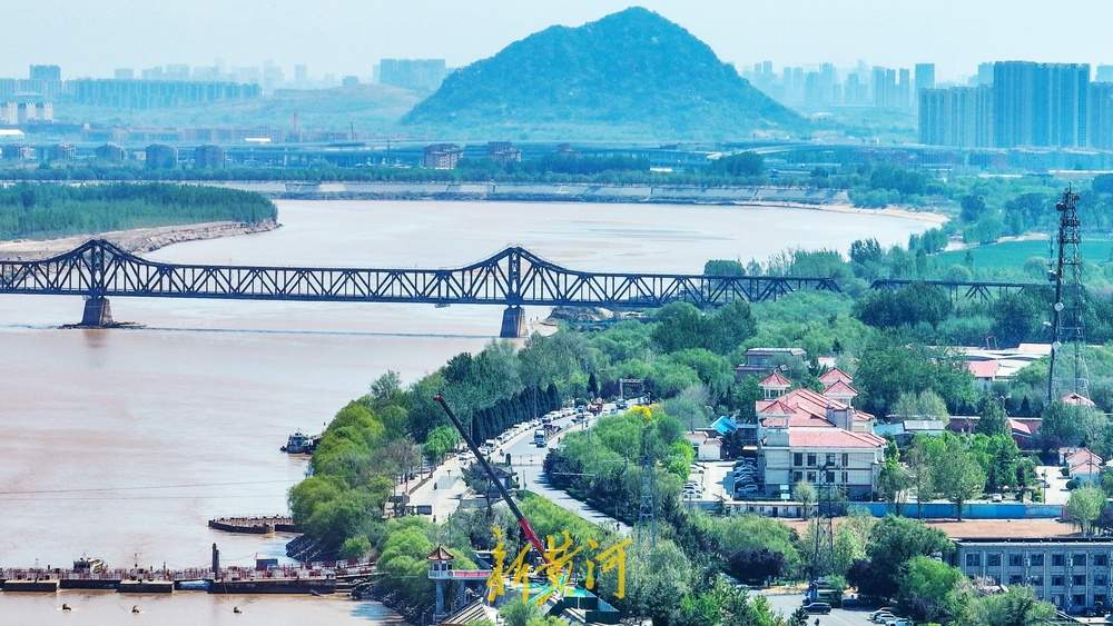 黄河两岸绿意葱茏，山桥楼阁同框绘新景