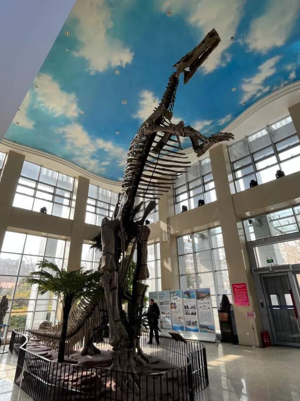 济南这7个室内场馆，能免费呆一天