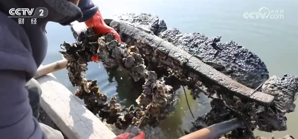 居民“菜篮子”持续上新供应足 新年消费市场红红火火“热气腾腾”