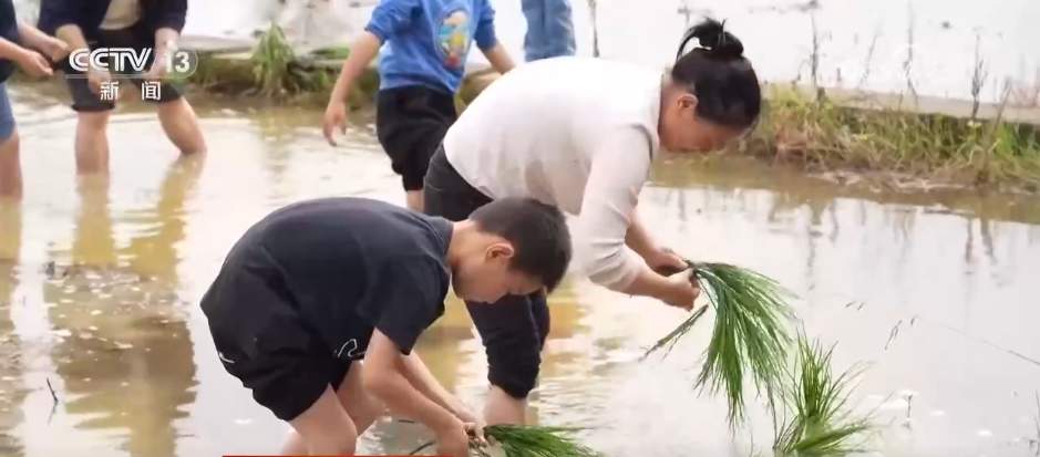 多地以文促旅出新招 “文旅+”新玩法点亮“假日经济”