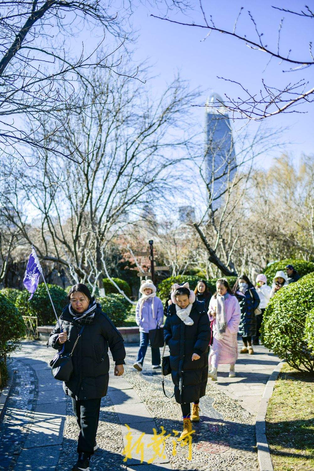 “泉”在济南冬游记｜泉城冬日暖意融融，泉池宛如水墨丹青画 