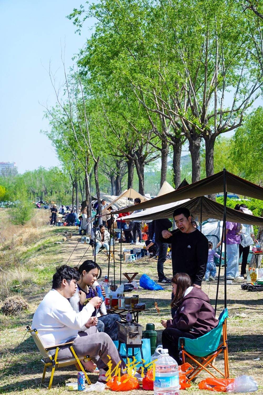 清明假期“不远行” 近郊踏青野餐享慢生活