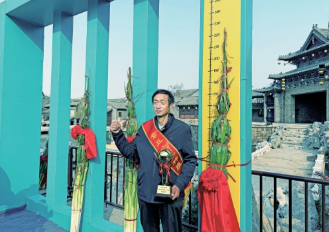 2.27米！2025年章丘“葱王”诞生 生吃都甜丝丝