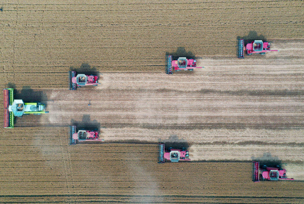 “三夏”大忙已至，这份夏收指南请查收！