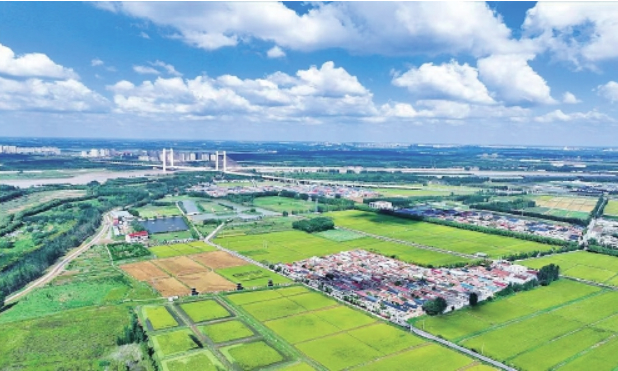 拧紧“科技密钥” 济南“稳粮故事”多