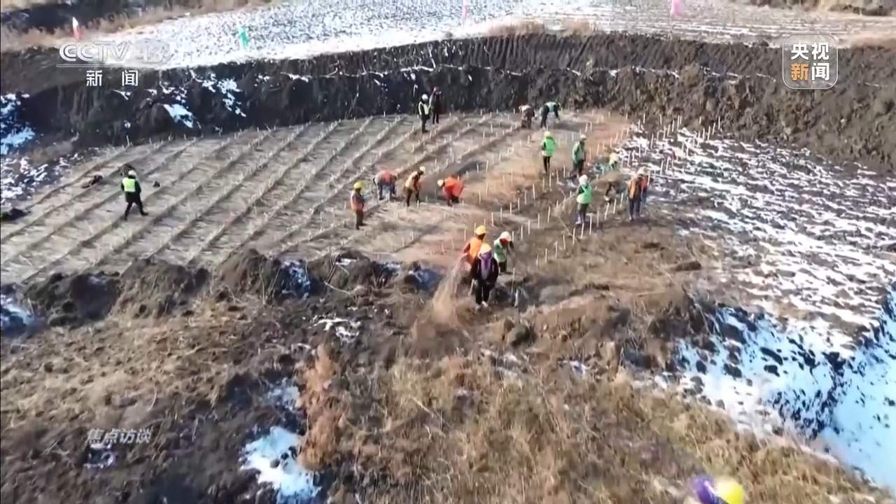 从抗旱到抢收 解读粮食增产背后的“密码”