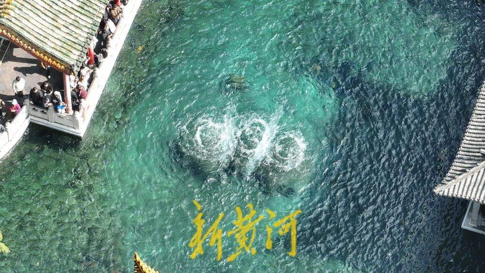 济南趵突泉地下水位达30.22米，“水涌若轮”胜景持续发力