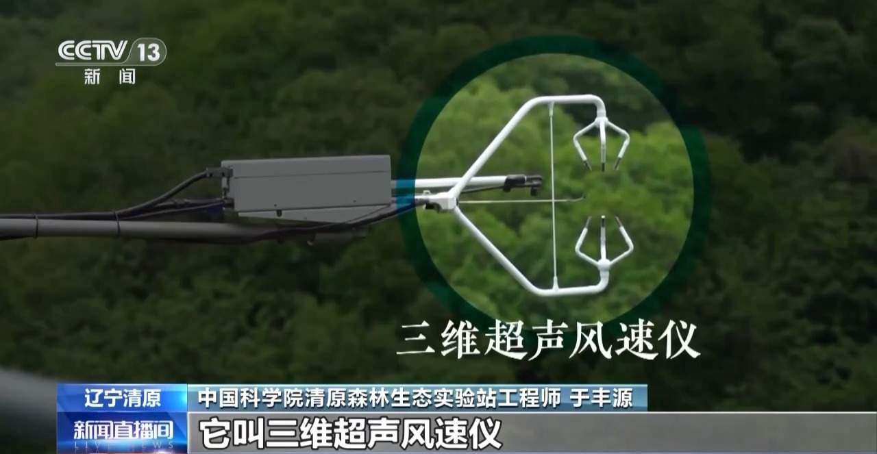 每片叶子都能查！三座巨塔就能监测整片森林