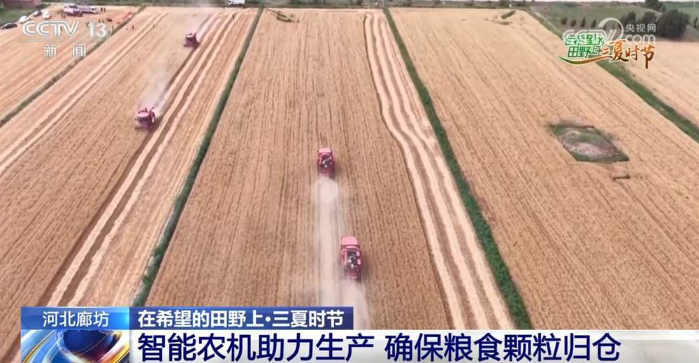 希望的田野智“绘”好“丰”景 “三夏”生产向“新”而行