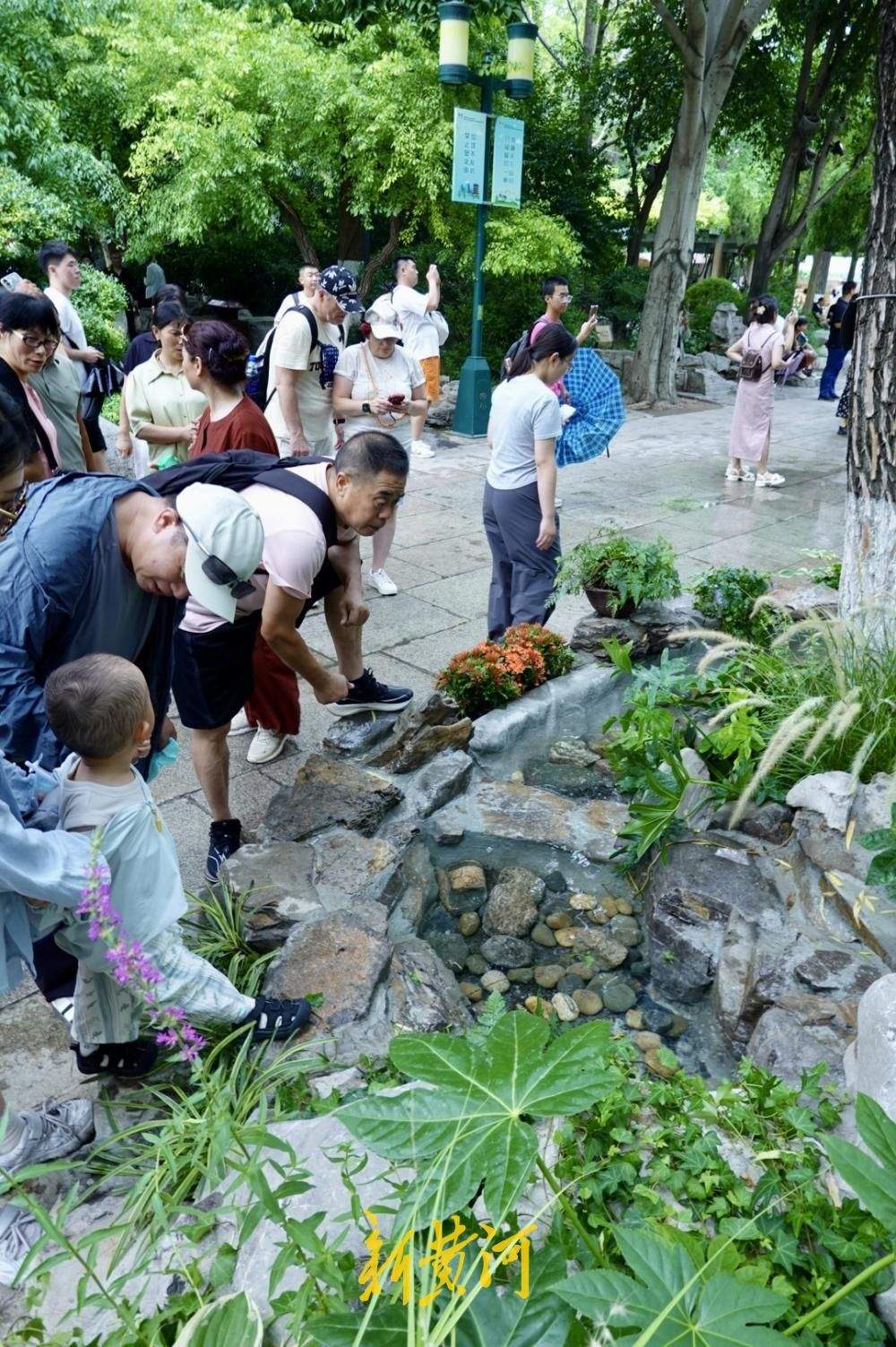 泉水景致焕新 解锁济南夏日泉水纳凉新体验