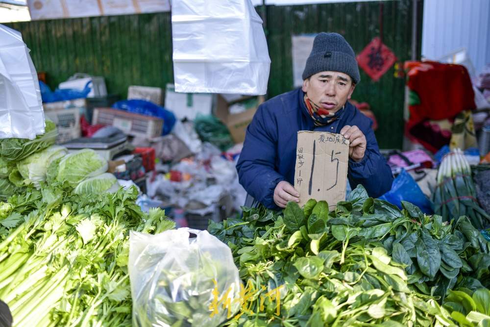 济南蔬菜供应充足价格回落