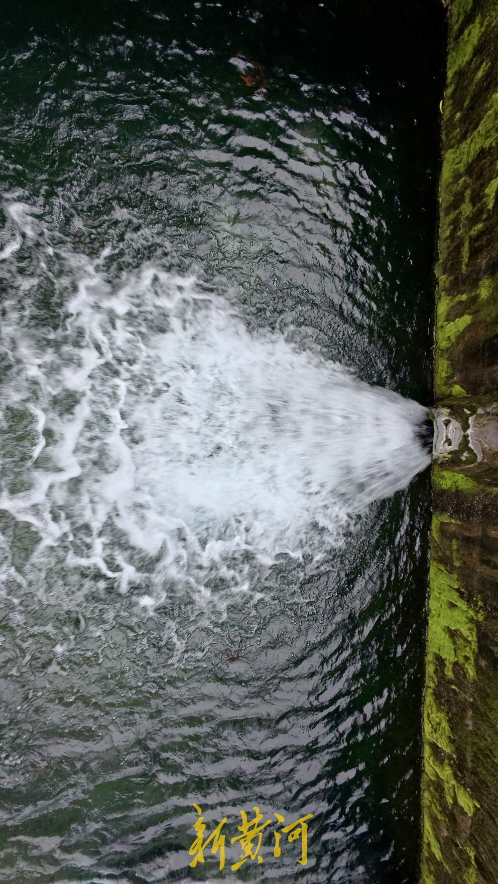 地下水位连涨，泉水漫出泉洞 ，现黑虎泉版“清泉石上流”