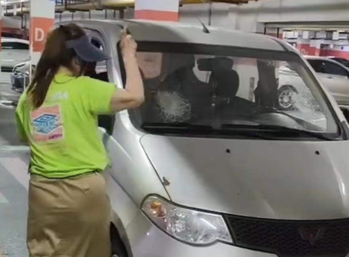 恼羞成怒！女子因狗窜入车底受伤持砖砸车砸人 扬言还我狗命