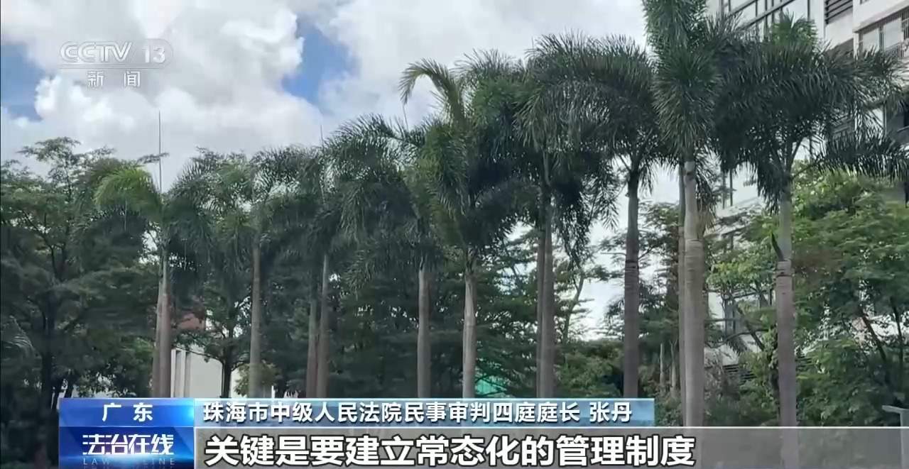 老人小区内遛弯被大王椰叶片砸成十级伤残 物业要担责吗？