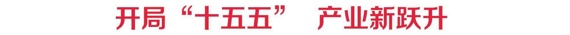 开局“十五五” 产业新跃升｜山东能源产业拥抱深刻变革，通过数智赋能向新向绿发展 AI下井 采煤智变