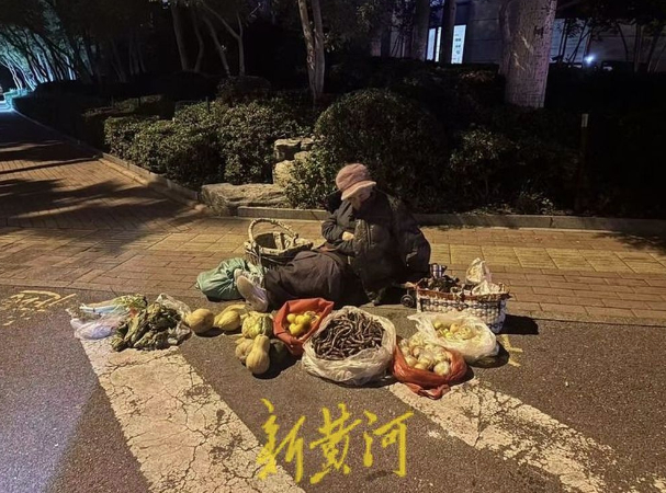 济南“老师儿”深夜护送卖菜老人回家 一场爱心接力见证城市温度