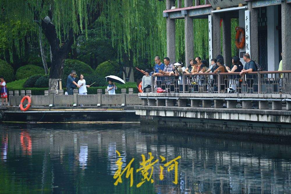 一年四季 泉在济南丨雨后五龙潭人气旺 “龙潭观鱼”别有意境