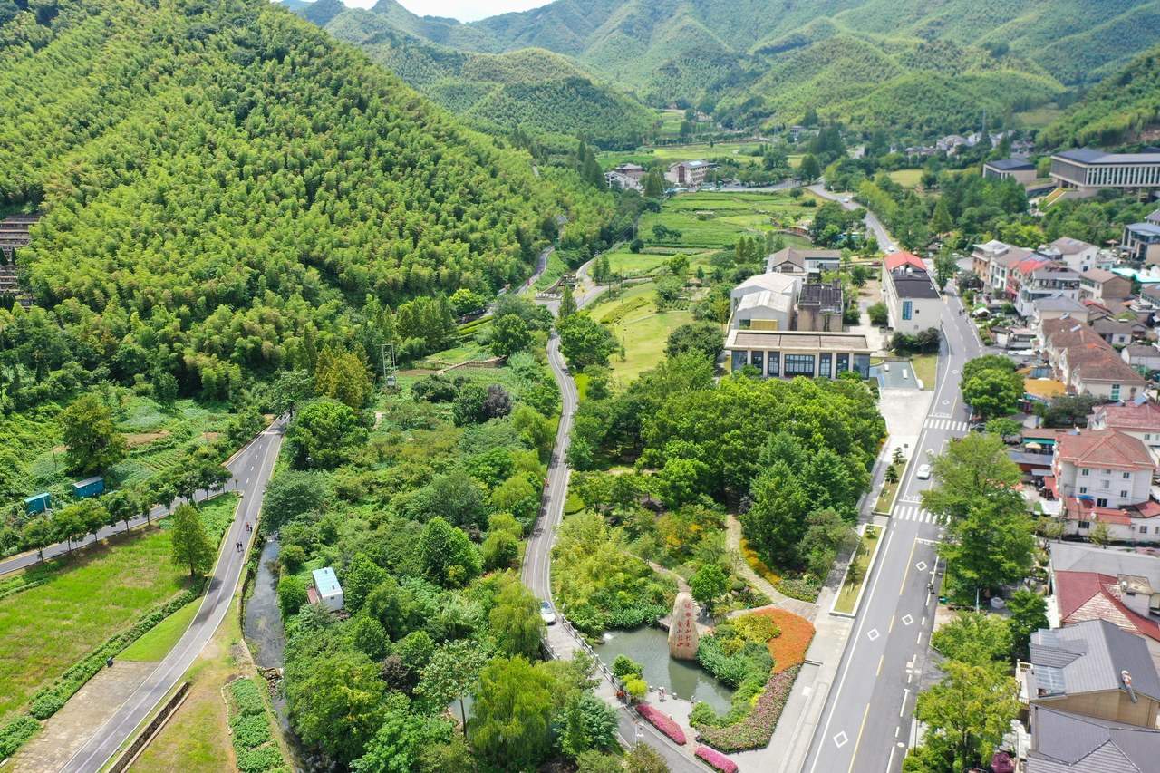 第一视点丨生态兴则文明兴——写在“绿水青山就是金山银山”理念提出20年之际