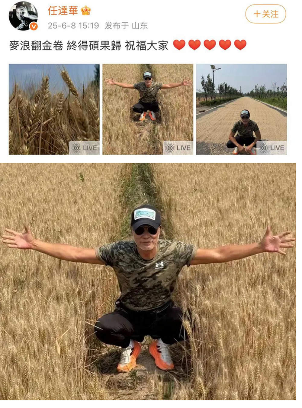 70岁男星任达华回山东老家收麦子，晒麦田打卡照，被赞干起活来不输年轻人