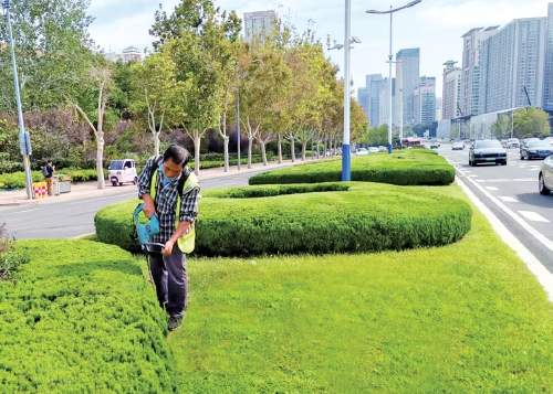 守护“一城绿” 心系“国庆红”