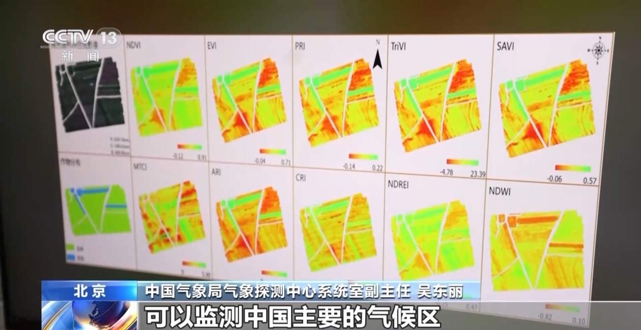 全年第一个收获时节到了 北方冬麦区需防范“干热风”天气