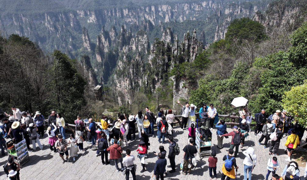 经济大省更加有力有效挑起大梁