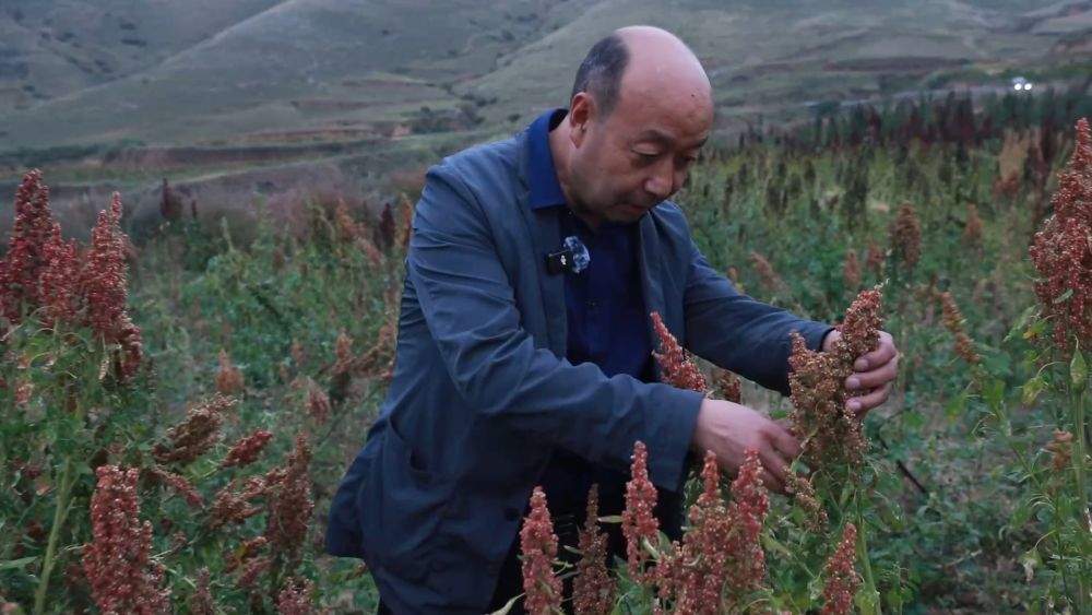 金秋丰收绘新景 乡村振兴谱华章