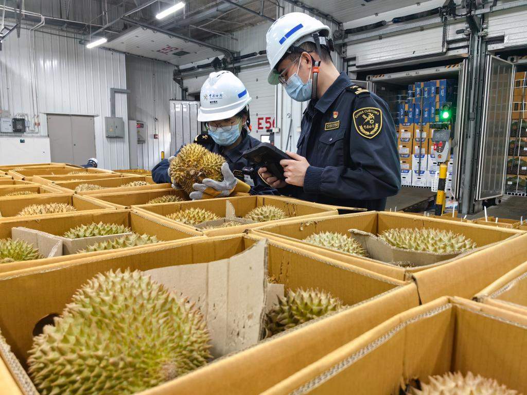 榴莲旺季迎“超级周末” 超6300吨进口鲜榴莲来了