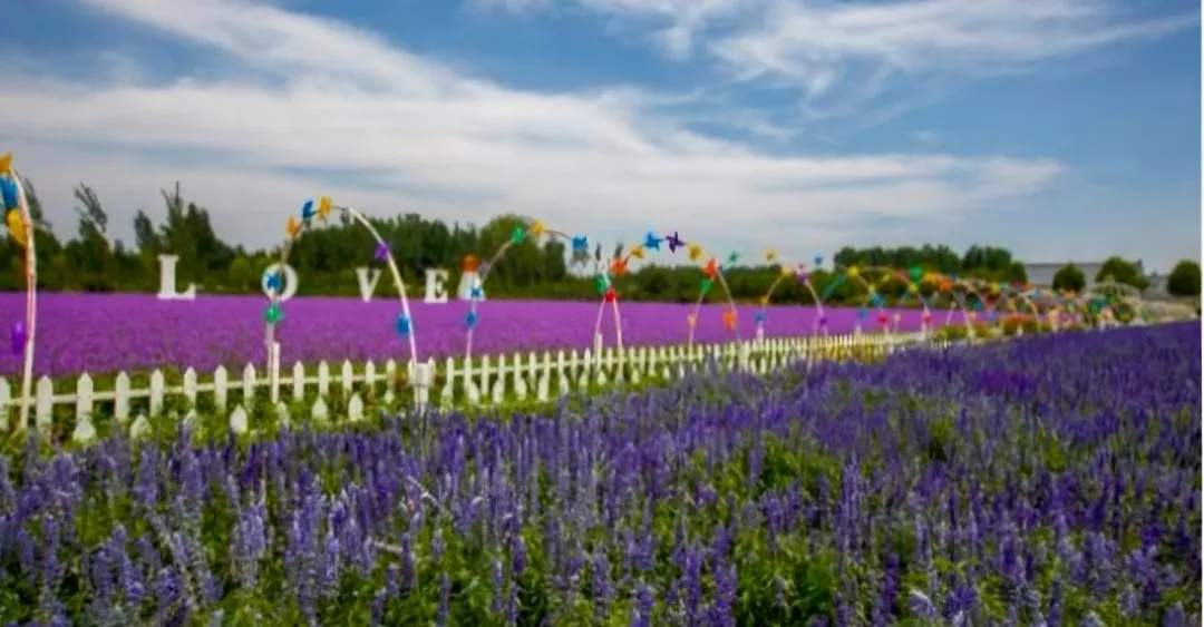 无需门票！济南这一景区免费开放