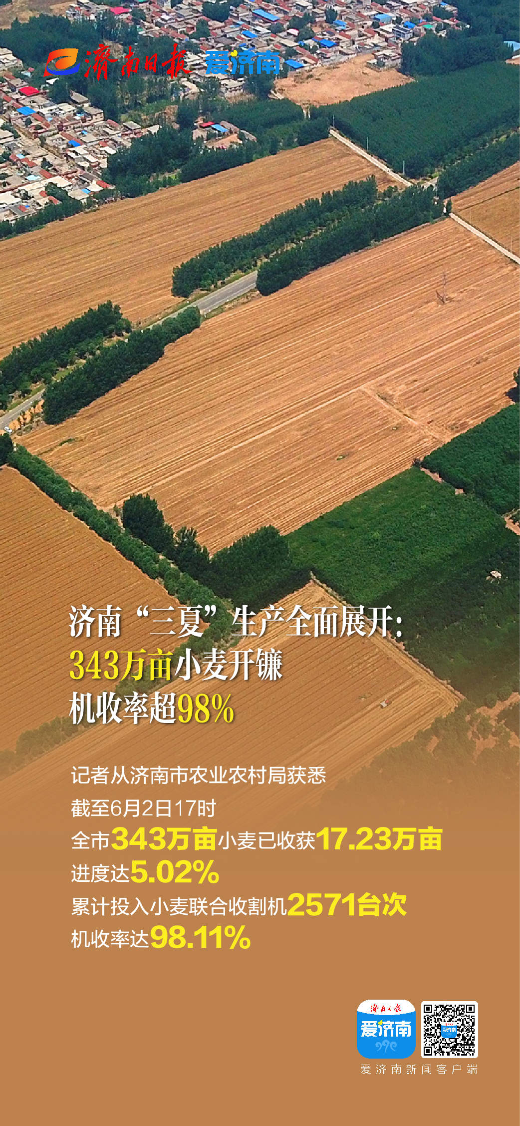 343万亩小麦开收，济南“三夏”生产有序开启